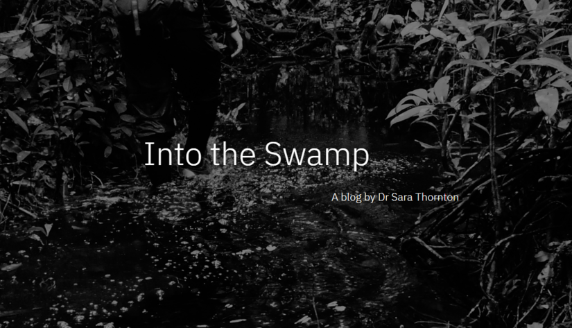 Into the swamp blog